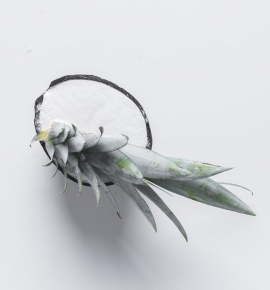 KOKOSINIAI LEDAI